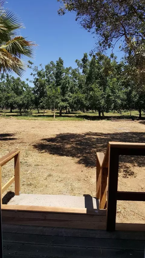 211 Sheldon Ave, Gridley, CA 95948 photo 13