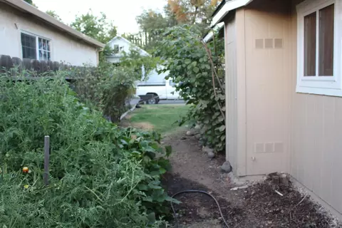 957 Virginia St, Gridley, CA 95948 photo 15