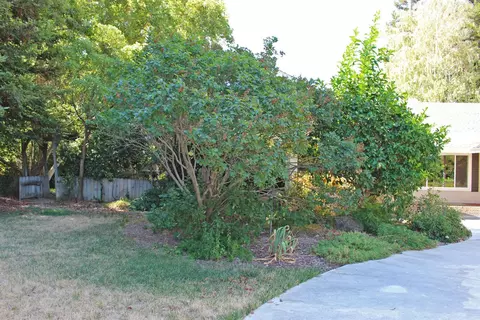 7883 Butte Ave, Sutter, CA 95982 photo 20