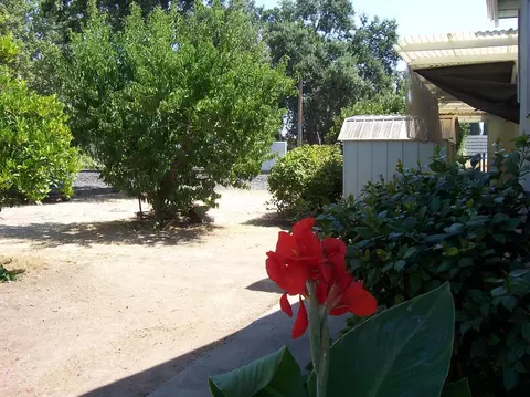 10179 N St, Live Oak, CA 95953 photo 3