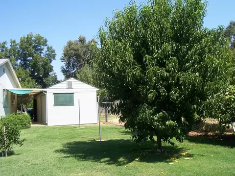 10179 N St, Live Oak, CA 95953 photo 16