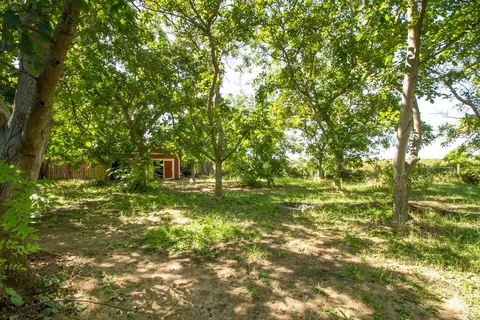1037 Gilstrap Ave, Gridley, CA 95948 photo 23