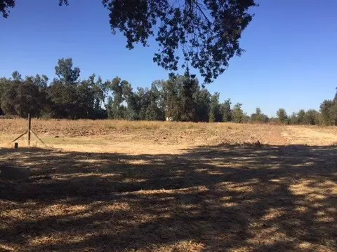287 Evans Reimer Rd, Gridley, CA 95948 photo 8