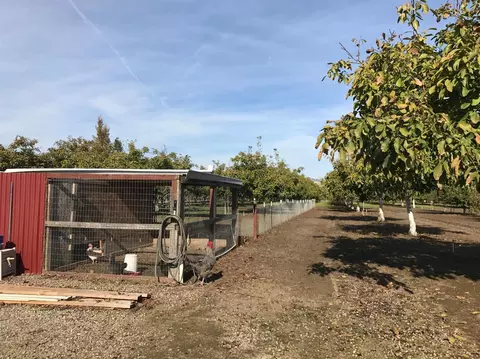 8867 S Butte Rd, Sutter, CA 95982 photo 33