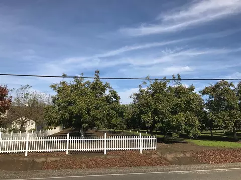 8867 S Butte Rd, Sutter, CA 95982 photo 11