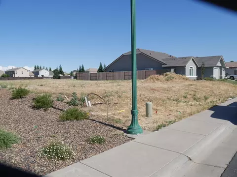 1975 Cinnamon Teal Ct, Gridley, CA 95948 photo 8