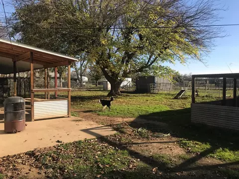 532 Prather Rd, Gridley, CA 95948 photo 13
