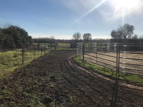 532 Prather Rd, Gridley, CA 95948 photo 19