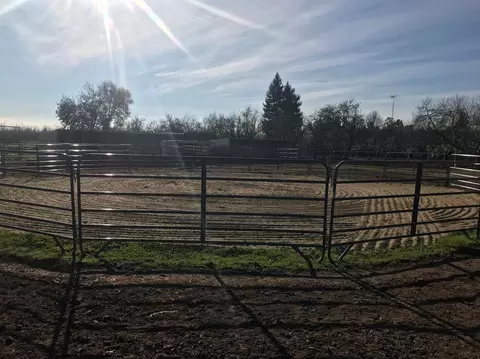 532 Prather Rd, Gridley, CA 95948 photo 20