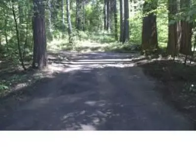 1995 Meadow Dr, Arnold, CA 95223 photo 1