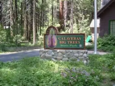 2206 Mokelumne Dr, Arnold, CA 95223 photo 7