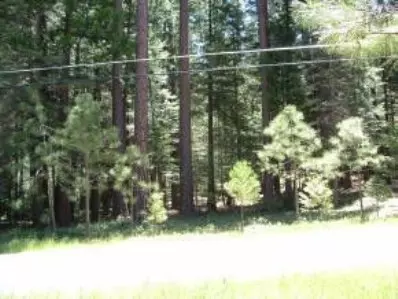 2206 Mokelumne Dr, Arnold, CA 95223 photo 1