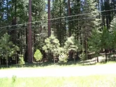 2206 Mokelumne Dr, Arnold, CA 95223 photo 4