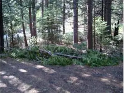3400 Venado, Arnold, CA 95223 photo 1