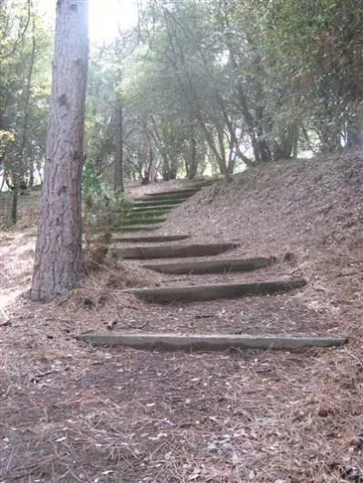 1921 Nutter Ranch Rd, Mariposa, CA 95338 photo 3