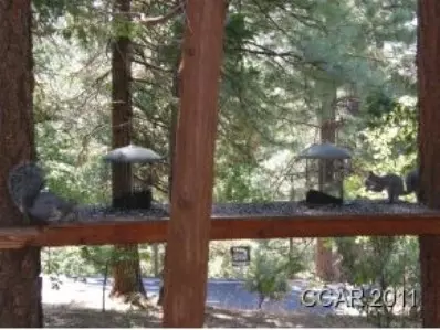 652 Larkspur, Murphys, CA 95247 photo 9