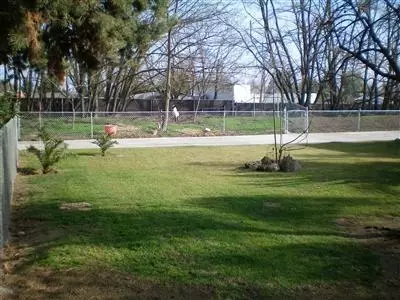 356 W Sierra Ave, Clovis, CA 93612 photo 5