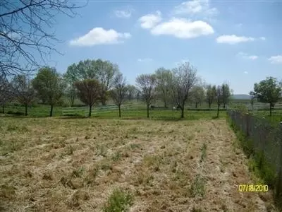 34598 Road 603, Madera, CA 93638 photo 5