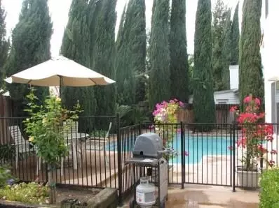 2264 Roberts, Clovis, CA 93611 photo 4