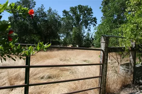 8413 Olive School Ln, Winters, CA 95694 photo 17