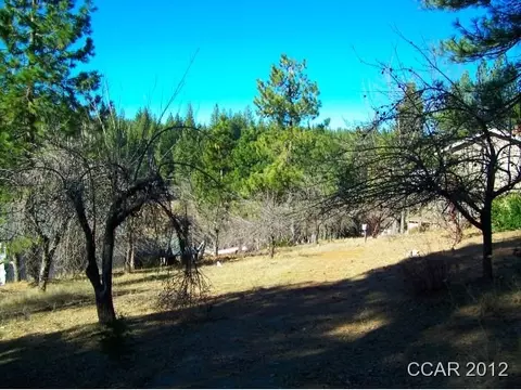 1710 Meadowview Rd, Arnold, CA 95223 photo 2