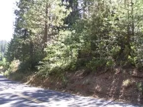 1972 Moran Rd, Arnold, CA 95223 photo 1