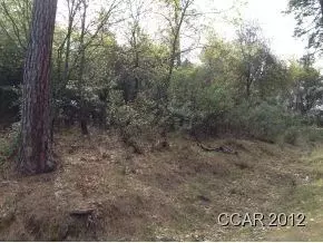 5003 El Camino Casale, Murphys, CA 95247 photo 2