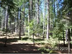 1490 Pine Dr, Arnold, CA 95223 photo 8
