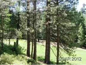 1376 Meadow Dr, Arnold, CA 95223 photo 3