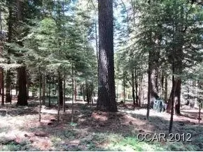 1376 Meadow Dr, Arnold, CA 95223 photo 4