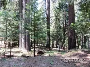 1376 Meadow Dr, Arnold, CA 95223 photo 2