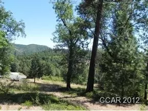 4105 Northwood Dr, Murphys, CA 95247 photo 4