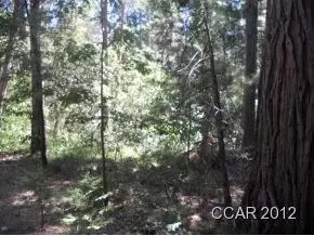 394 Grey Mare, Avery, CA 95224 photo 1