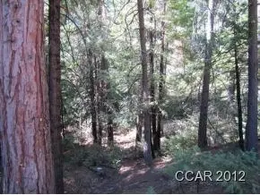 2960 Mckenzie Ave, Arnold, CA 95223 photo 1