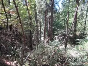 2960 Mckenzie Ave, Arnold, CA 95223 photo 3