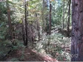 2960 Mckenzie Ave, Arnold, CA 95223 photo 2