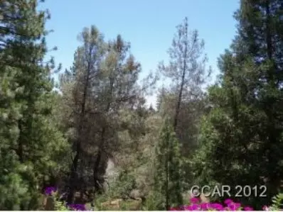 606 Buckthorn Dr, Murphys, CA 95247 photo 2