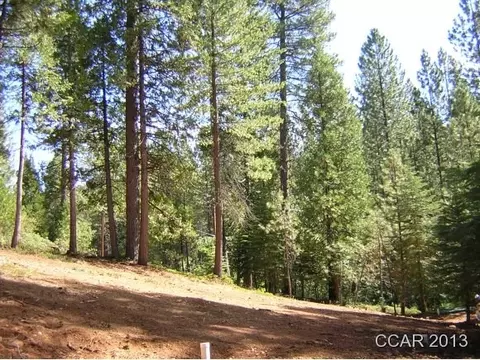 1387 Patricia, Arnold, CA 95223 photo 1