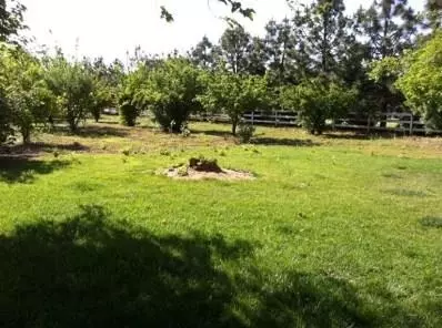 4861 N Kittyhawk Ave, Sanger, CA 93657 photo 9