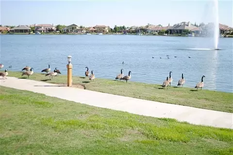 4861 N Crystal Springs Ct, Clovis, CA 93619 photo 9