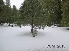 0 3431 Gardner Flat Rd, Dorrington, CA 95223 photo 6