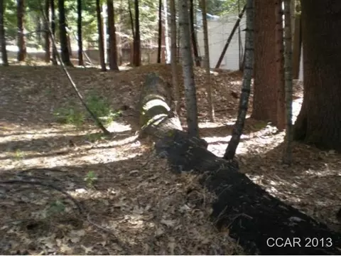 1964 Belmont Way, Arnold, CA 95223 photo 7