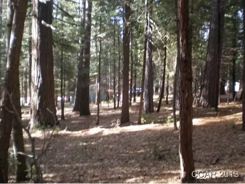 1964 Belmont Way, Arnold, CA 95223 photo 6
