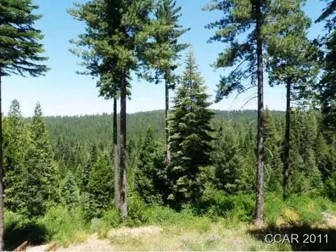 372 Bull Wacker Run, Arnold, CA 95223 photo 3