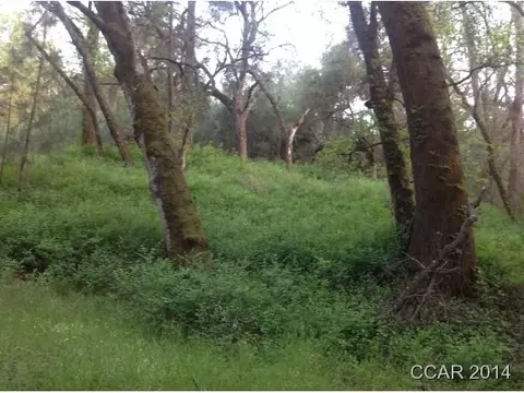 3384 Canyon Ct, Murphys, CA 95247 photo 10