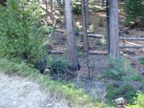 1357 Pebble Beach Way, Arnold, CA 95223 photo 1