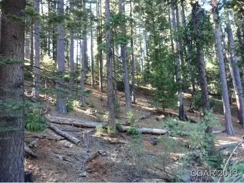 1357 Pebble Beach Way, Arnold, CA 95223 photo 4