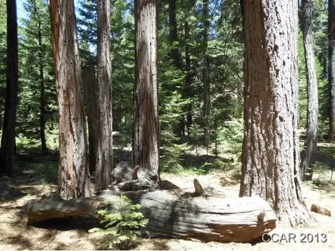 2340 Karock Rd, Dorrington, CA 95223 photo 1