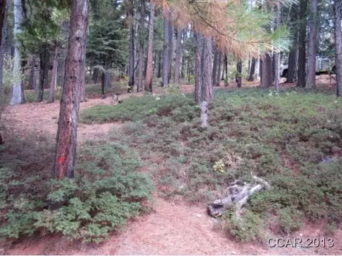 2261 Sultana Rd, Arnold, CA 95223 photo 3