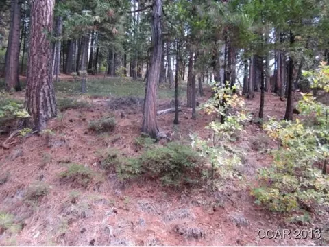 2261 Sultana Rd, Arnold, CA 95223 photo 2